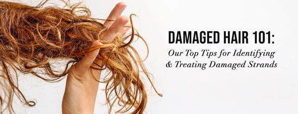 Damaged Hair 101: Our Top Tips for Identifying and Treating Damaged Strands