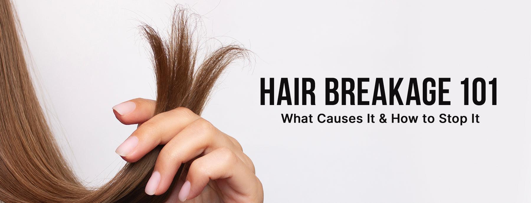 Hair Breakage 101: What Causes It & How to Stop It