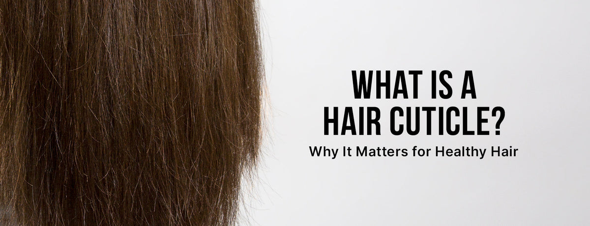 What Is a Hair Cuticle? Dr. Joe Explains Why It Matters for Healthy Hair