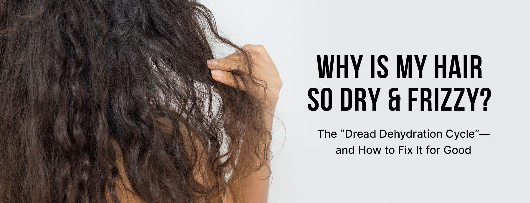 Why Is My Hair So Dry & Frizzy? The “Dread Dehydration Cycle”—and How to Fix It for Good
