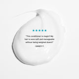 Color Security Conditioner ~ (For Fine to Normal Hair)