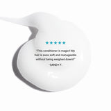 Color Security Conditioner ~ (For Normal to Thick Hair)