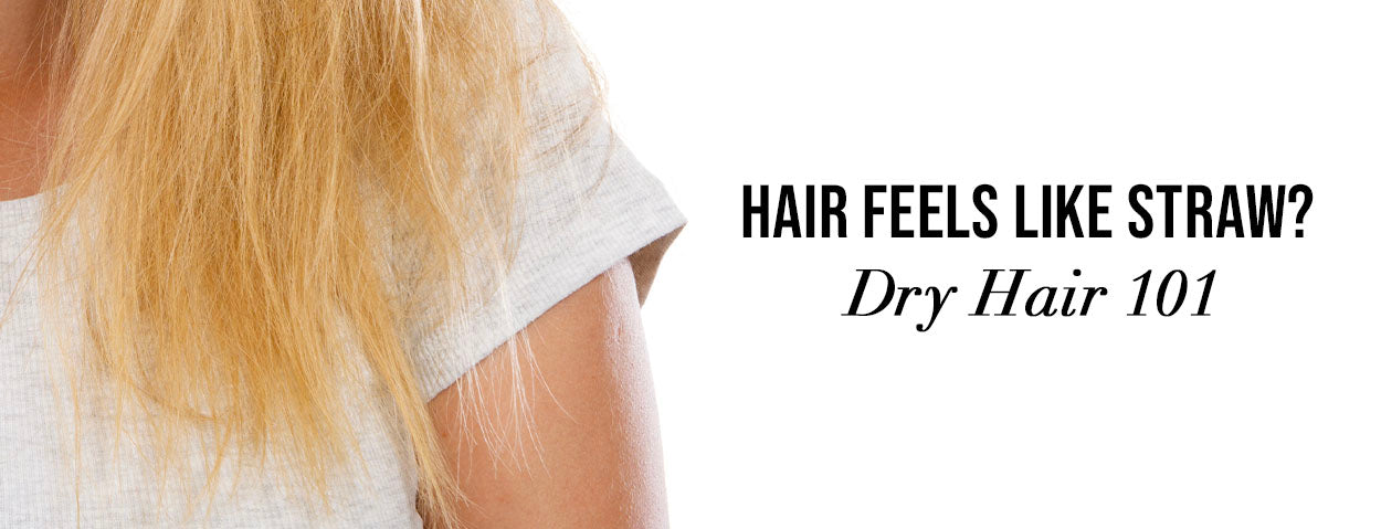 Color Wow Hair | Official Site | Award-Winning Hair Care Products