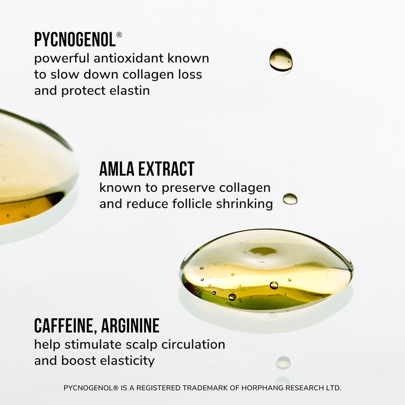 pycnogenol powerful antioxidant known to slow down collagen loss and protect elastin. amla extract known to preserve collagen and reduce follicle shrinking. caffeine, arginine help stimulate scalp circulation and boost elasticity. pycnogenol is a registered trademark of horphang research ltd.